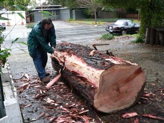 Make drawings of what youwant your canoe to look like. If you are 