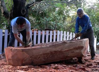 Dugout Canoe