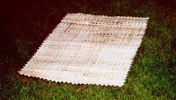 mat50