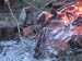 RR_cooking3
